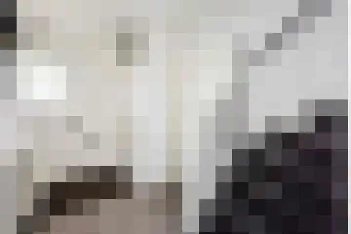 Tilligterbeek 48 Zwolle thumbnail 12