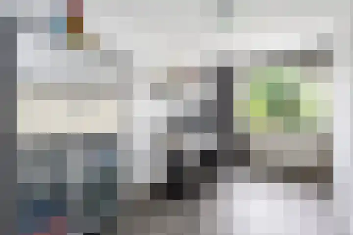 Tilligterbeek 48 Zwolle thumbnail 13