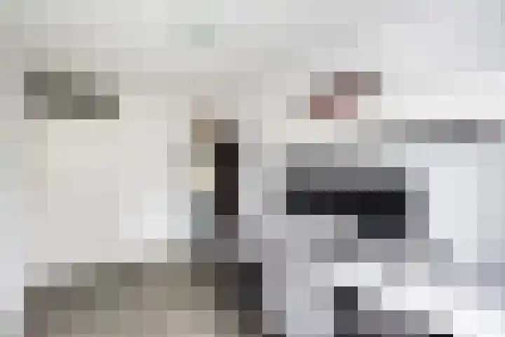 Tilligterbeek 48 Zwolle thumbnail 14