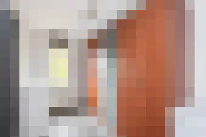 Tilligterbeek 48 Zwolle thumbnail 17