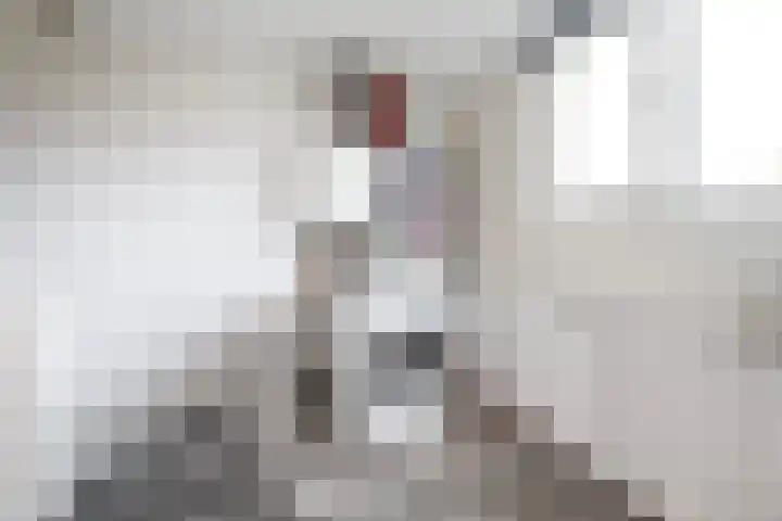 Tilligterbeek 48 Zwolle thumbnail 21