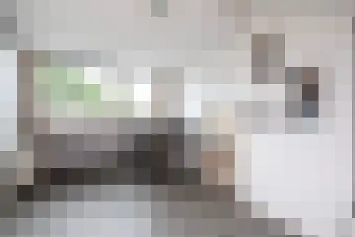 Tilligterbeek 48 Zwolle thumbnail 22