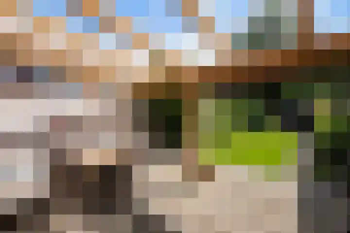 Tilligterbeek 48 Zwolle thumbnail 24