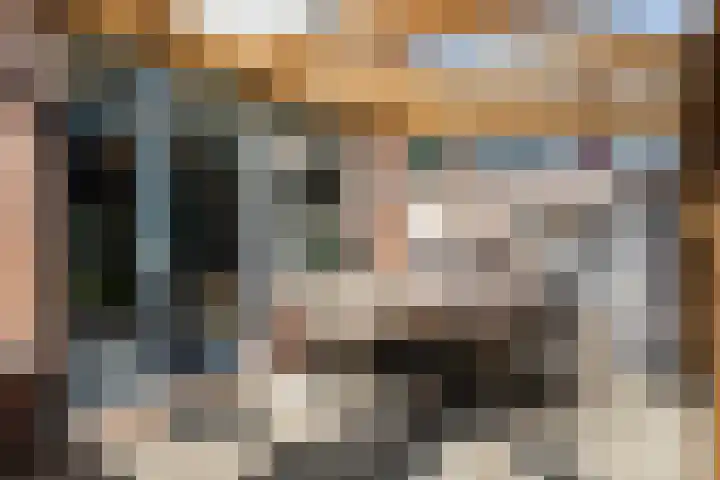Tilligterbeek 48 Zwolle thumbnail 25