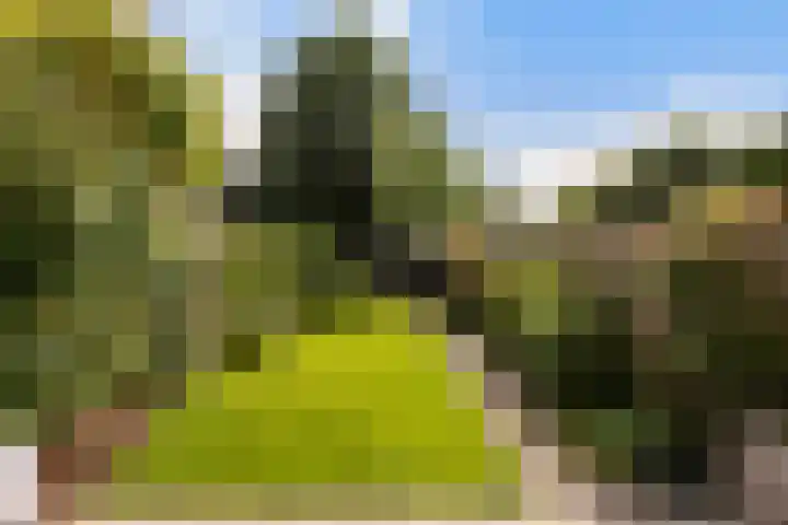 Tilligterbeek 48 Zwolle thumbnail 27