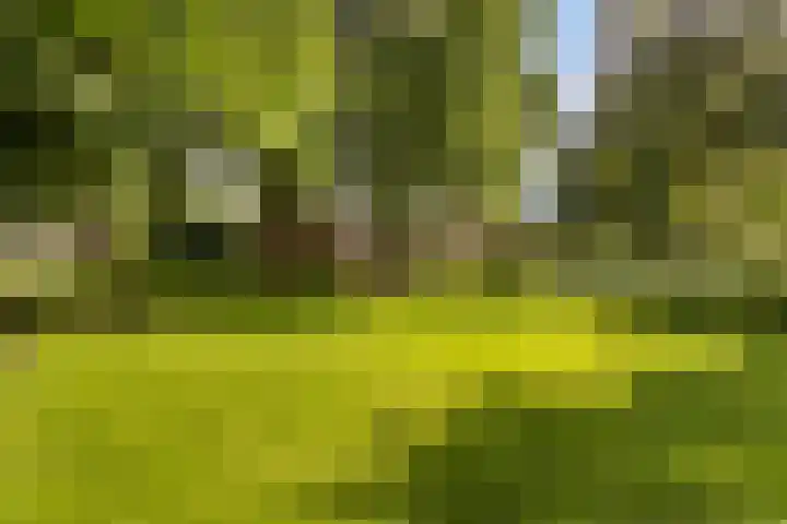 Tilligterbeek 48 Zwolle thumbnail 29