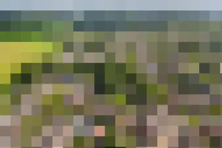Tilligterbeek 48 Zwolle thumbnail 33