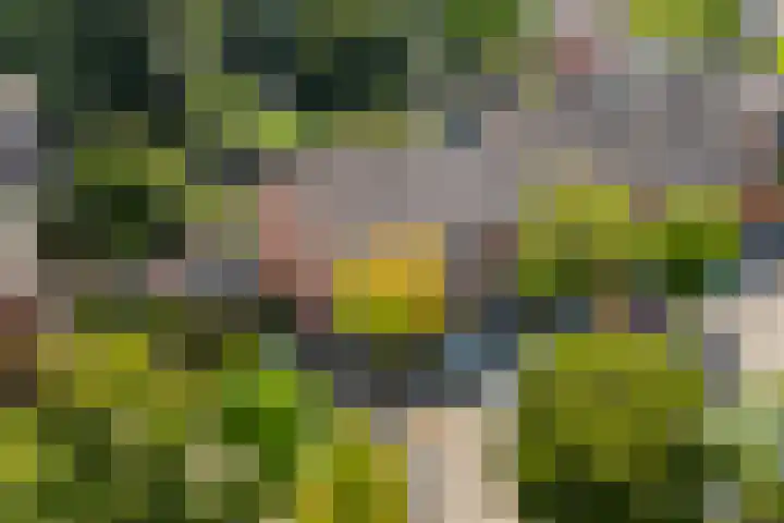 Tilligterbeek 48 Zwolle thumbnail 34