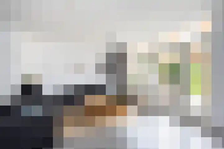 Tilligterbeek 48 Zwolle thumbnail 4