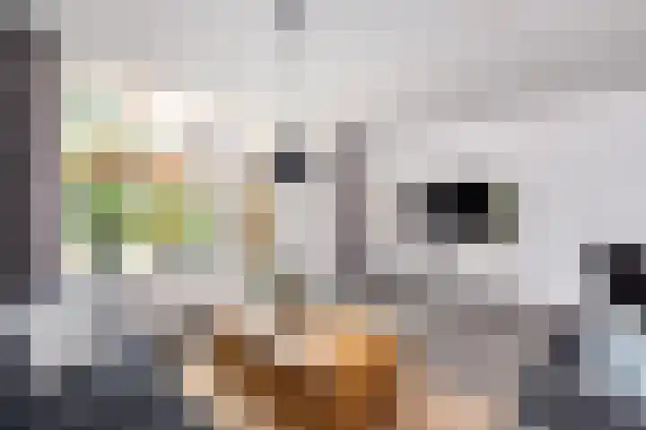Tilligterbeek 48 Zwolle thumbnail 7
