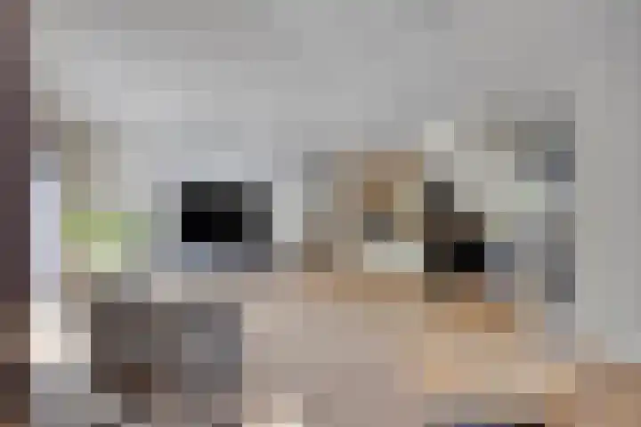 Tilly de Vriestuin 13 Heerhugowaard thumbnail 12