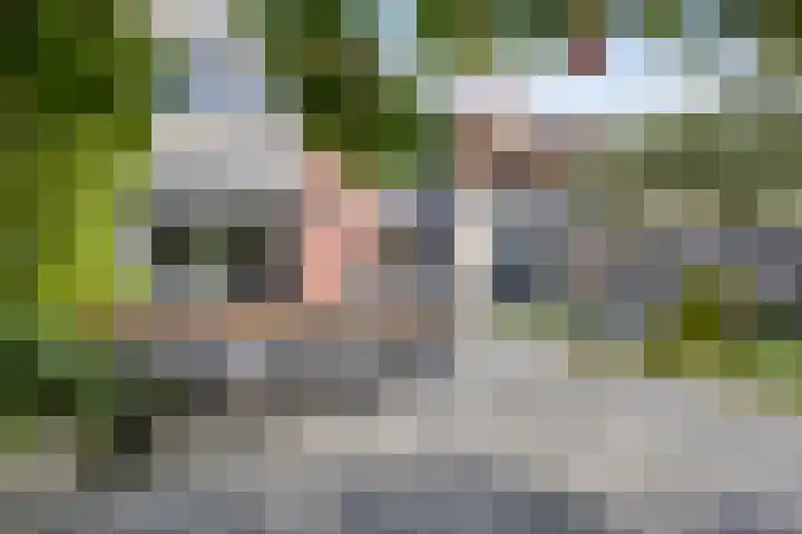 Tilly de Vriestuin 13 Heerhugowaard thumbnail 42