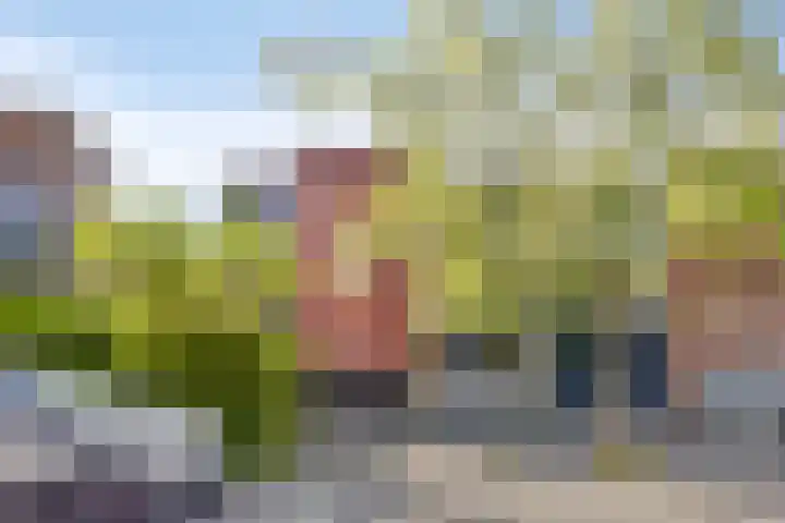 Tilly de Vriestuin 13 Heerhugowaard thumbnail 45