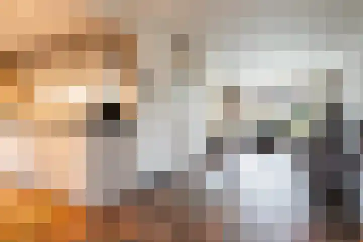 Tilmaad 34 Oosterwolde thumbnail 10