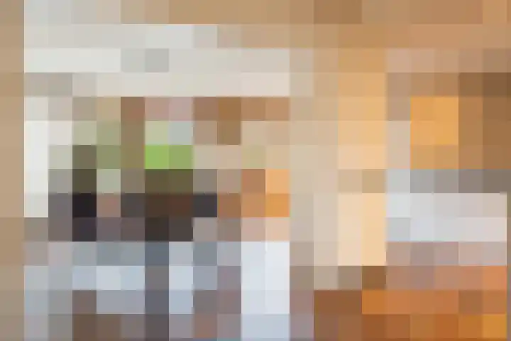 Tilmaad 34 Oosterwolde thumbnail 14