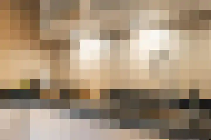Tilmaad 34 Oosterwolde thumbnail 17
