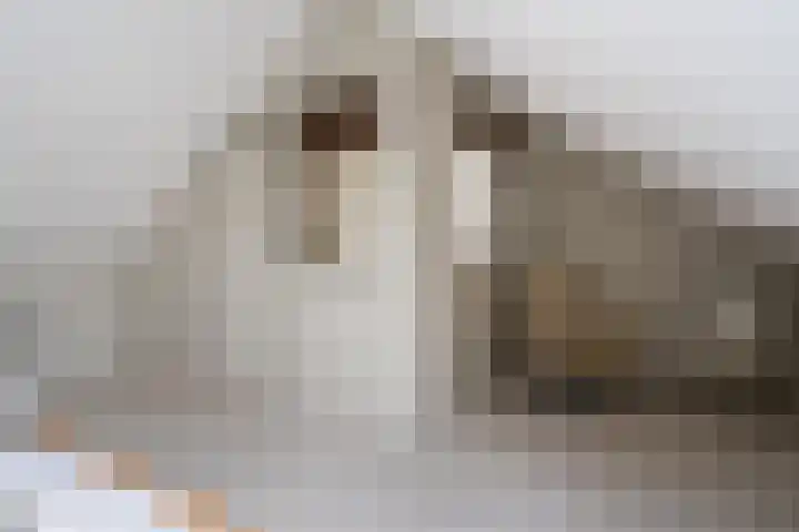 Tilmaad 34 Oosterwolde thumbnail 32