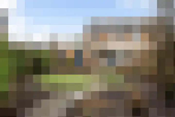 Tilmaad 34 Oosterwolde thumbnail 33