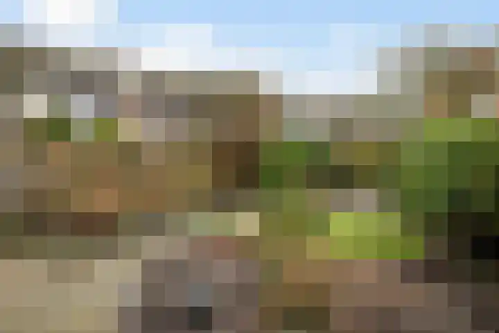 Tilmaad 34 Oosterwolde thumbnail 35