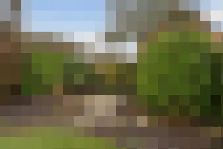 Tilmaad 34 Oosterwolde thumbnail 36