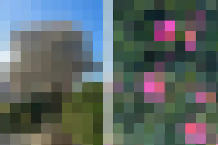 Tilmaad 34 Oosterwolde thumbnail 37