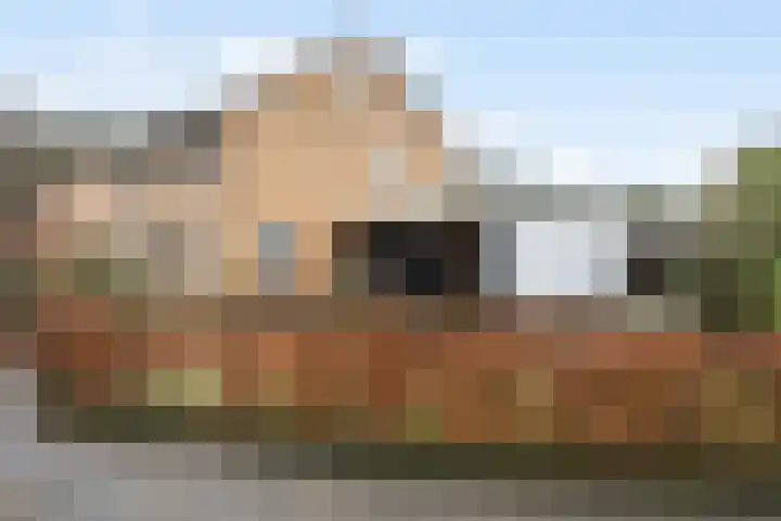 Tilmaad 34 Oosterwolde thumbnail 38