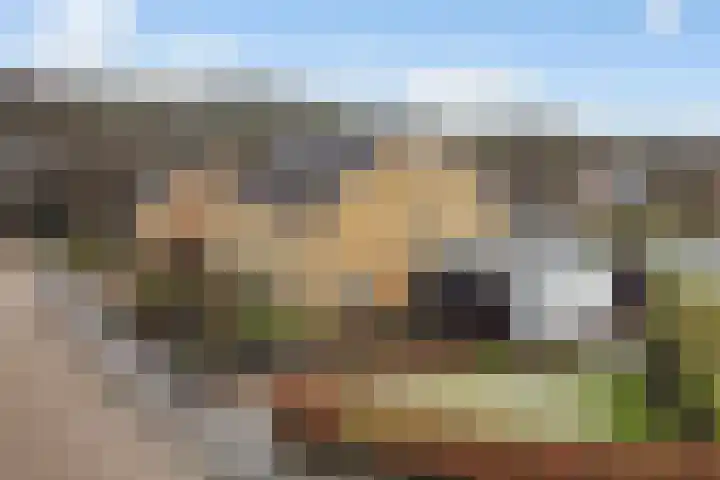 Tilmaad 34 Oosterwolde thumbnail 39