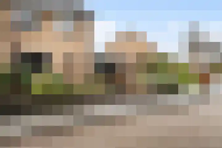 Tilmaad 34 Oosterwolde thumbnail 6