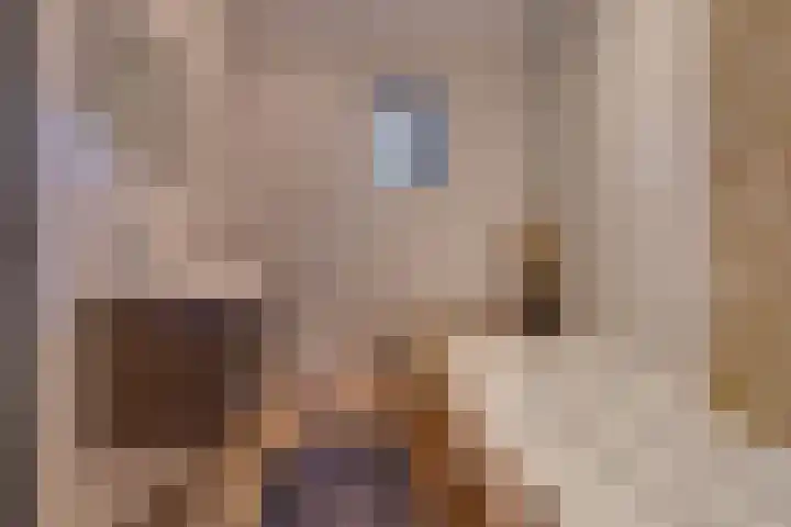 Tilstraat H 41 Nieuwe Pekela thumbnail 18