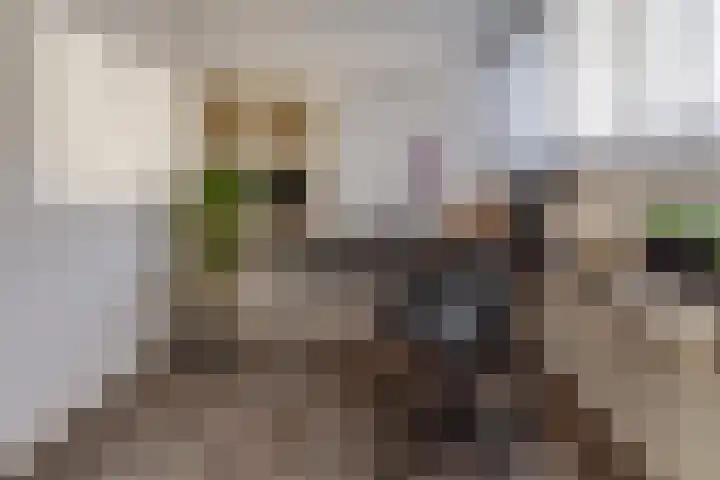 Tilstraat H 41 Nieuwe Pekela thumbnail 30