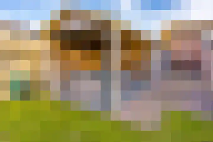 Tilstraat H 41 Nieuwe Pekela thumbnail 41