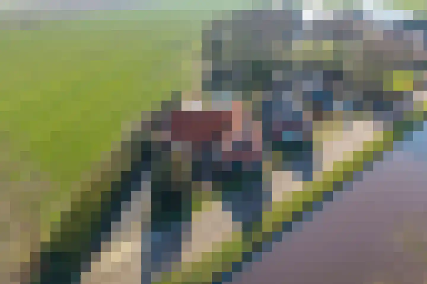 Tilstraat H 58 A Nieuwe Pekela thumbnail 9