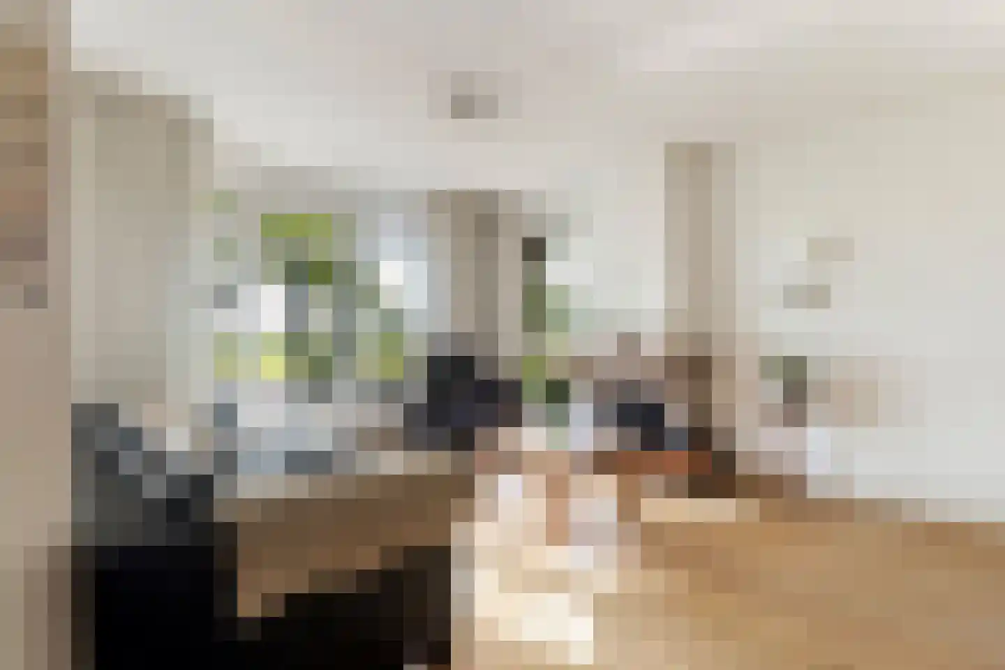 Tiltsjedyk 17 Boksum thumbnail 12