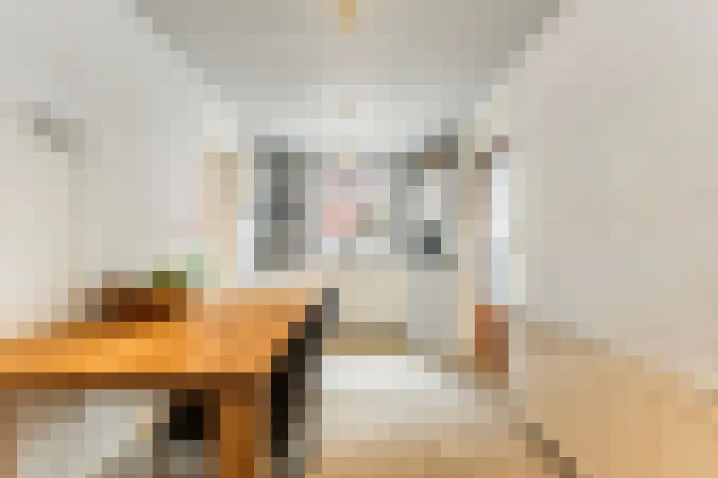 Tiltsjedyk 17 Boksum thumbnail 14