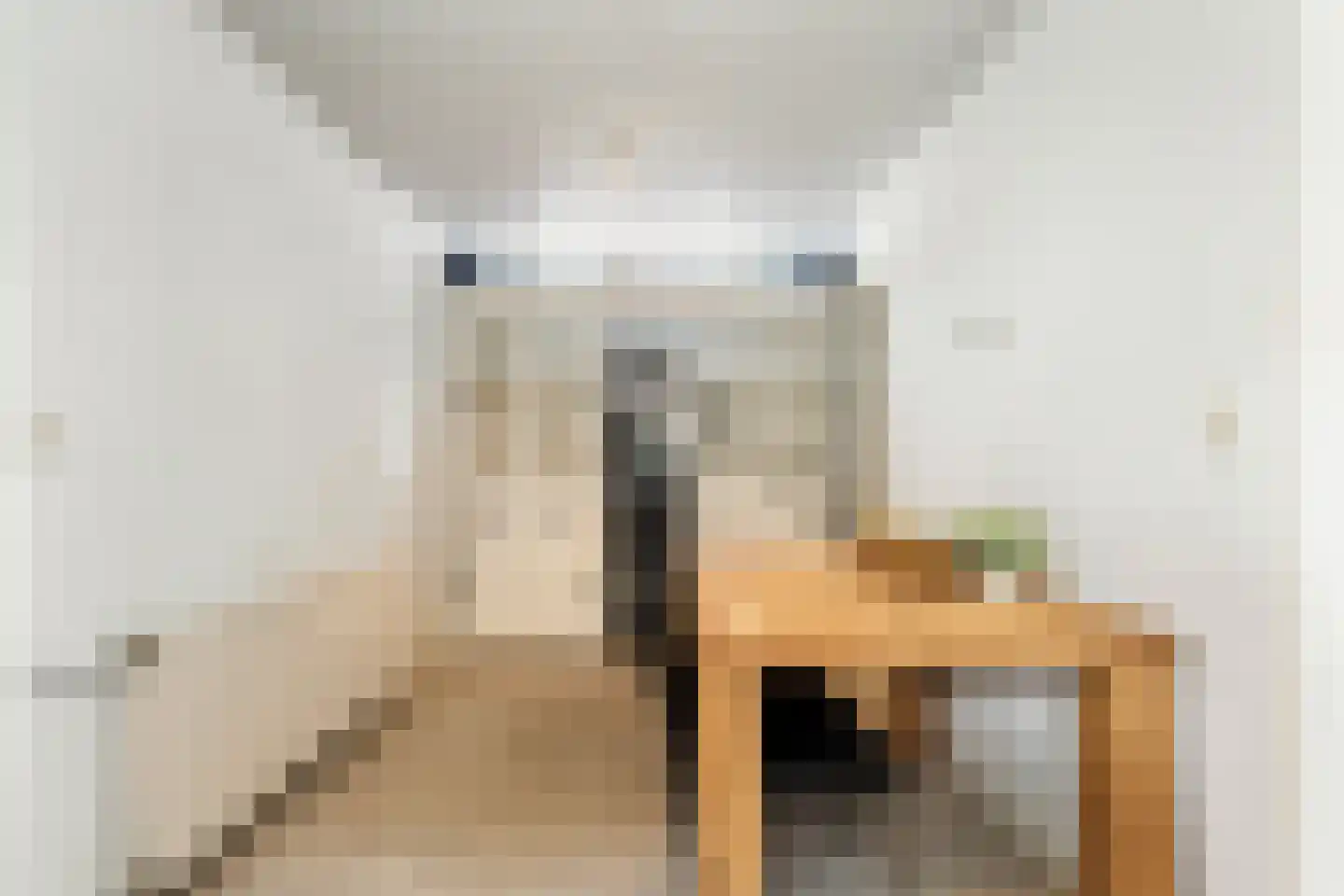 Tiltsjedyk 17 Boksum thumbnail 15