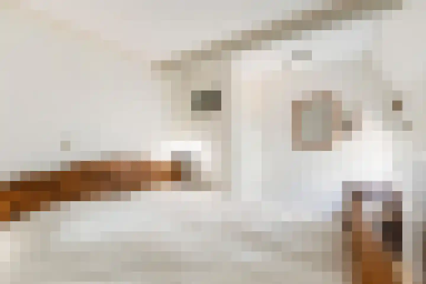 Tiltsjedyk 17 Boksum thumbnail 21