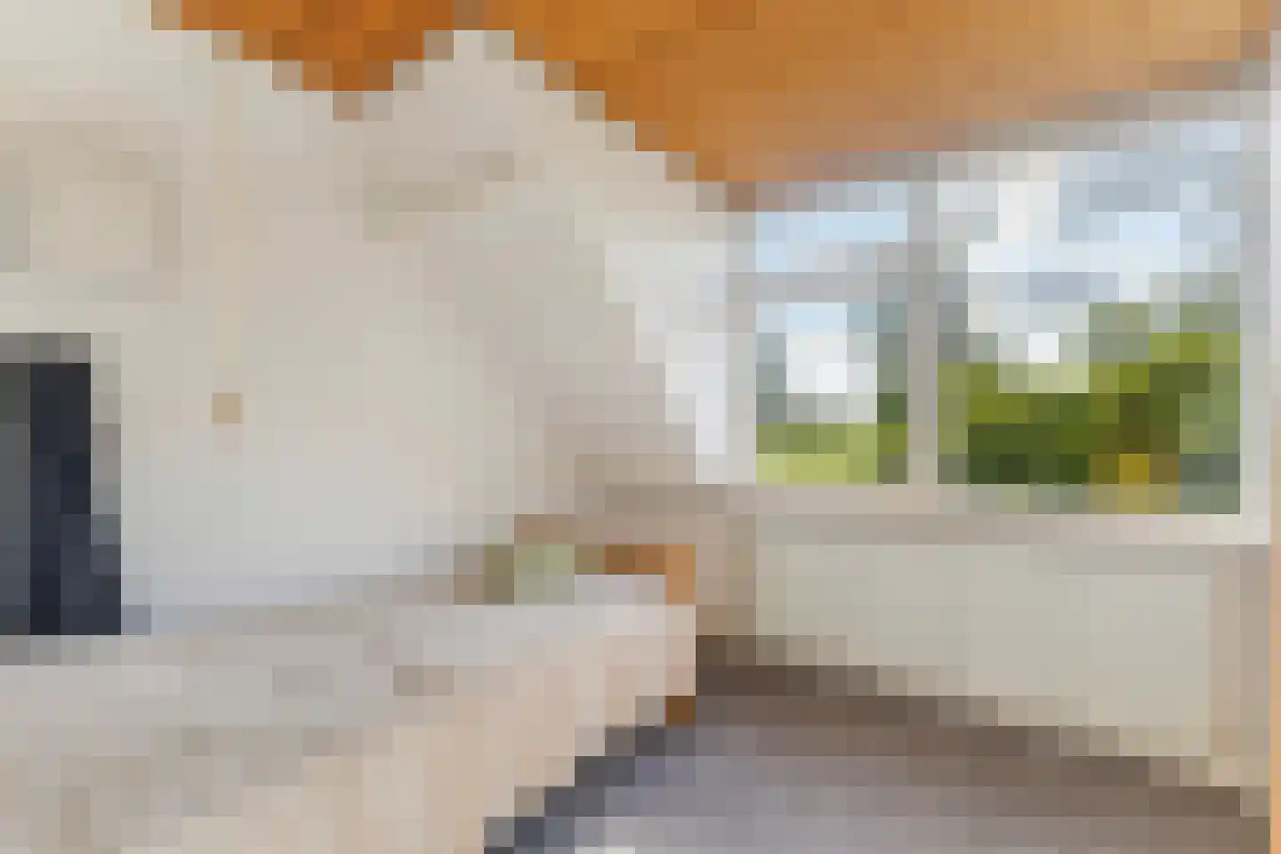 Tiltsjedyk 17 Boksum thumbnail 23