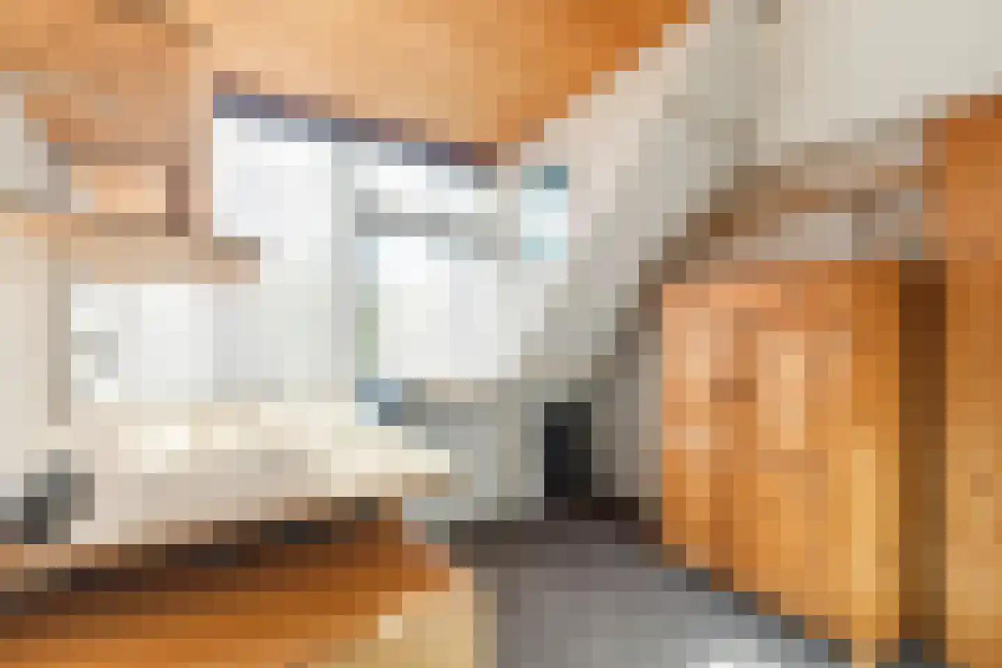 Tiltsjedyk 17 Boksum thumbnail 25