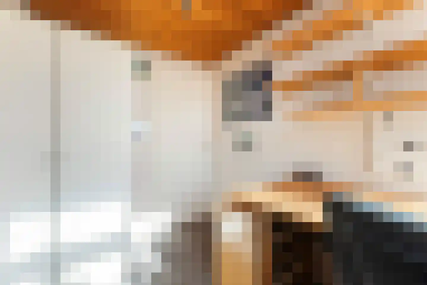 Tiltsjedyk 17 Boksum thumbnail 26