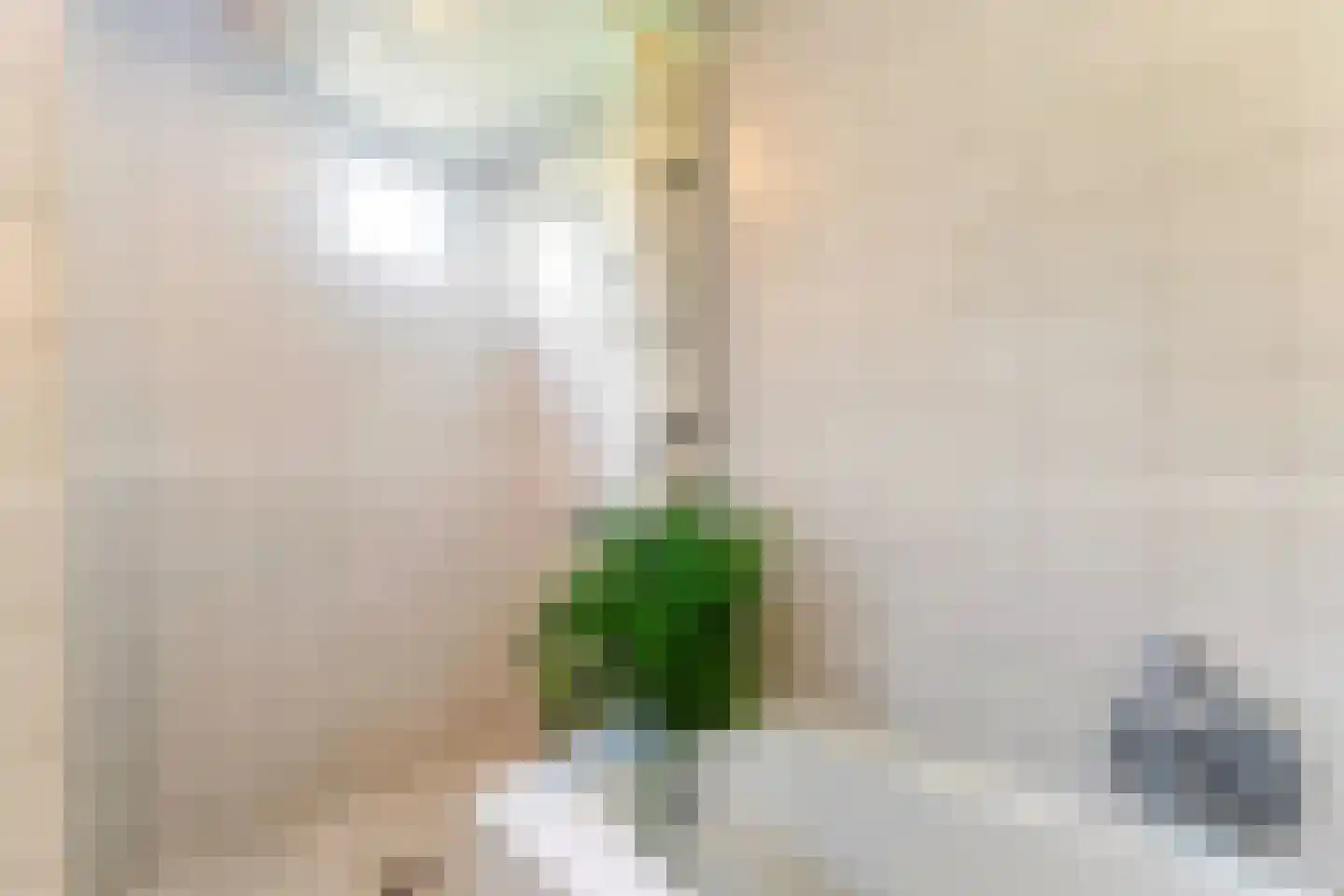 Tiltsjedyk 17 Boksum thumbnail 28