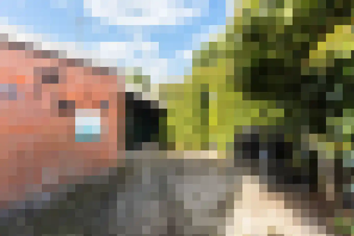 Tiltsjedyk 17 Boksum thumbnail 31