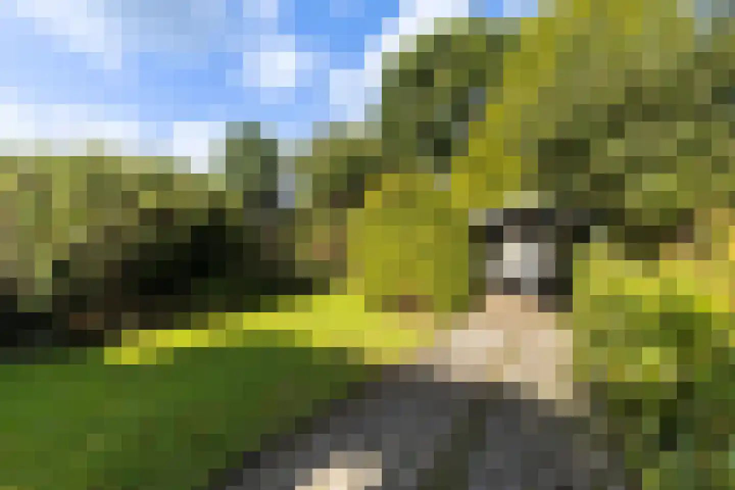 Tiltsjedyk 17 Boksum thumbnail 32
