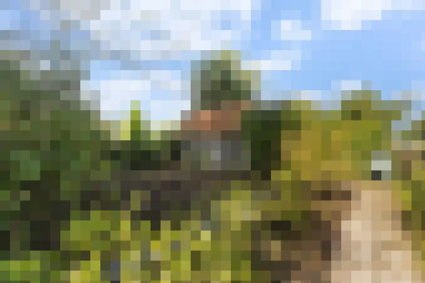 Tiltsjedyk 17 Boksum thumbnail 33