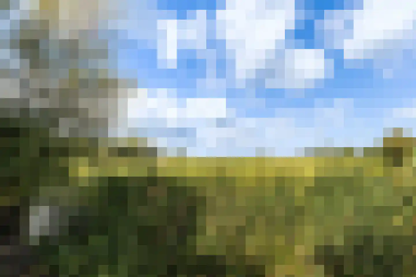 Tiltsjedyk 17 Boksum thumbnail 35