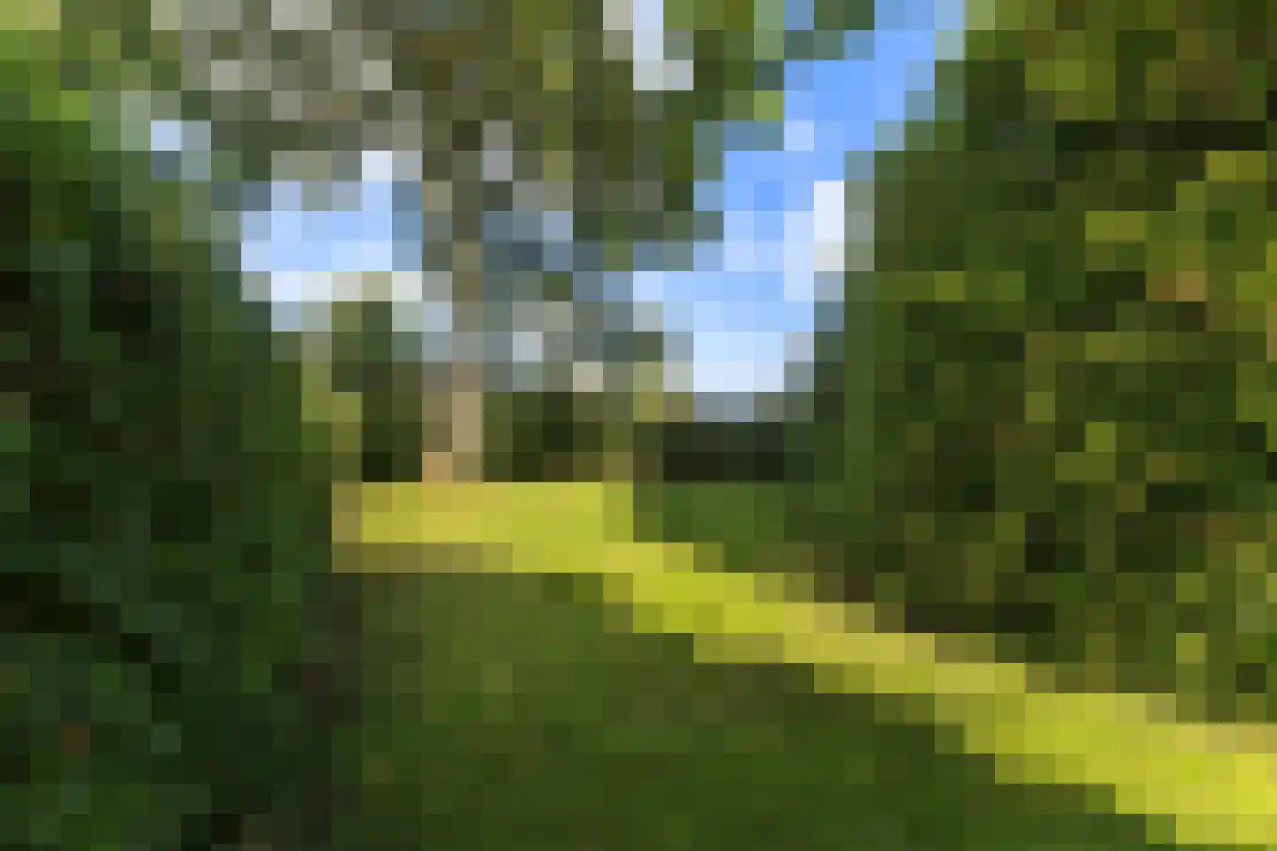 Tiltsjedyk 17 Boksum thumbnail 36