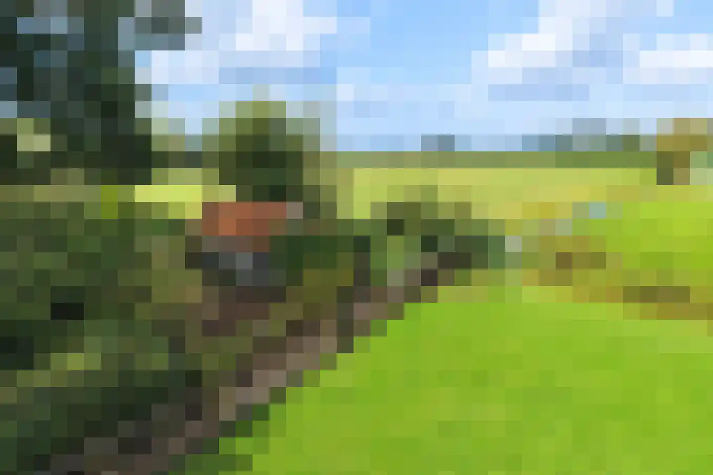 Tiltsjedyk 17 Boksum thumbnail 37