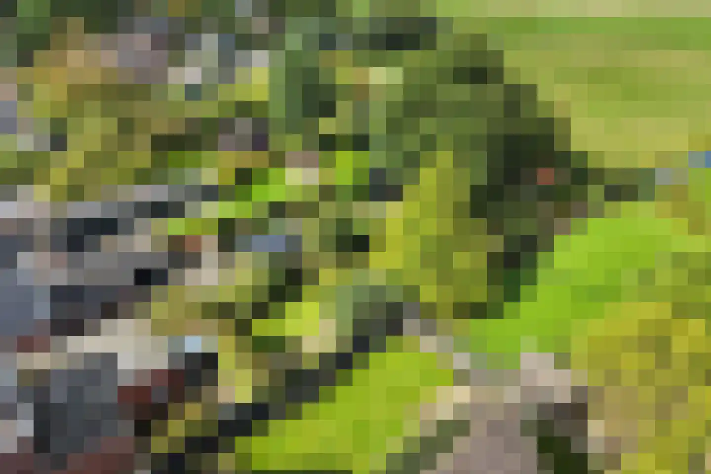 Tiltsjedyk 17 Boksum thumbnail 39