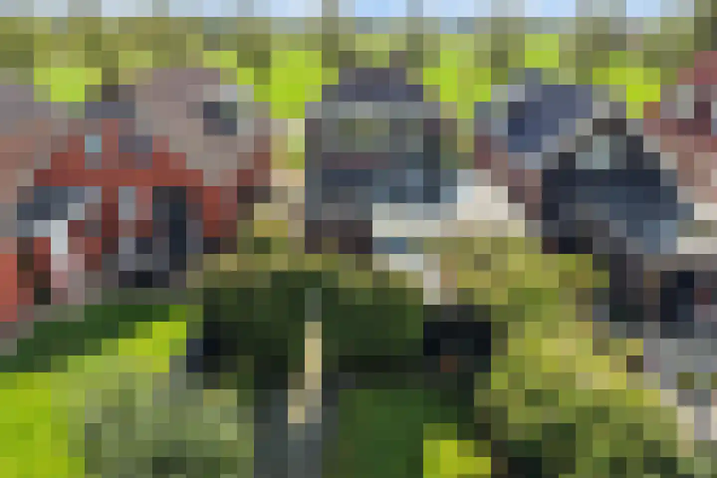 Tiltsjedyk 17 Boksum thumbnail 4
