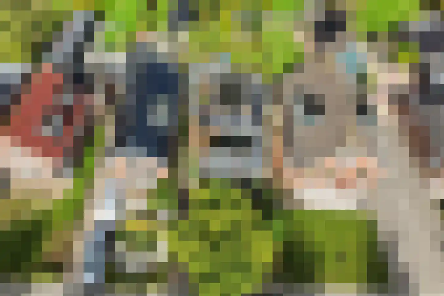 Tiltsjedyk 17 Boksum thumbnail 40