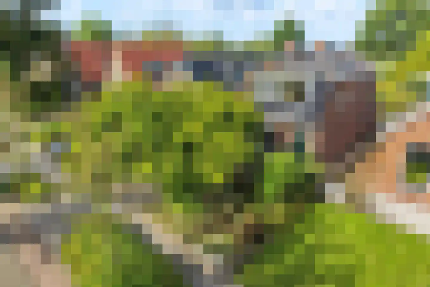 Tiltsjedyk 17 Boksum thumbnail 41